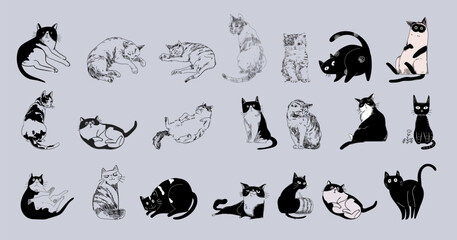 Naklejka premium Set of cute cats, kitten line drawing pet animal collection . Hand drawn, engaving, outline domestic animal isolated on background.