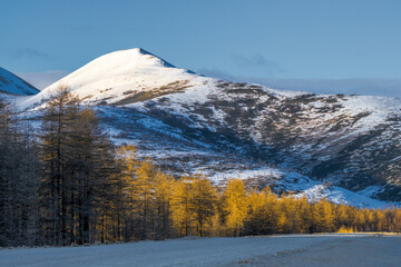 View of the road, larch trees and snow-capped mountains. Kolyma Highway. Unpaved road in a mountain valley. Nature of Siberia and the Russian Far East. Travel in the Magadan region. Russia. Autumn.