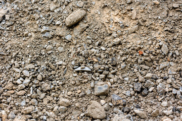 Natural soil texture background. Enviromental concept design