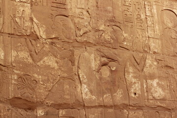 Sand stone carving of egyptian hieroglyphs on the wall at Karnak temple in Luxor, Egypt.