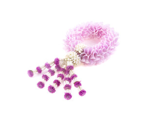 Fresh flower garland on white background