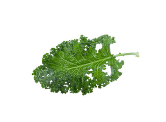 Fresh kale leaves on white background