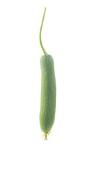 Sponge gourd on white background