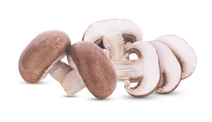Fresh shiitake mushrooms on white background