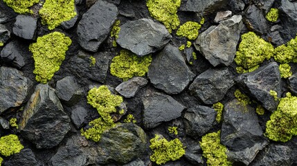 Close-Up of Stone Wall with Green Moss