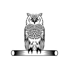 Detailed black and white illustration vector design of an owl, showcasing elegance and wisdom in a stylish design, perfect for artistic and educational purposes.