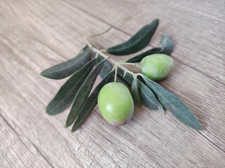 Natural fresh green olives on a branch with leaves on a wooden background