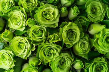 bouquet of green roses