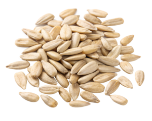 sunflower seeds isolated on white background