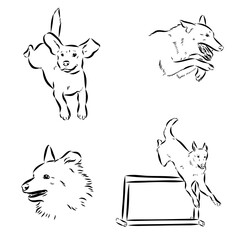 Scenes of dog training with cartoon characters of man and his pet learning various commands