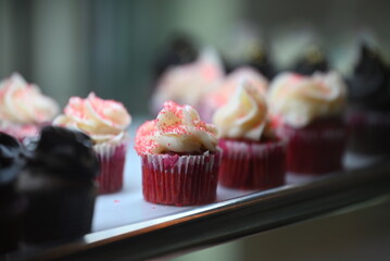 cupcake on a tray