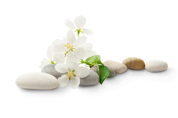 Apple tree flowers and stones