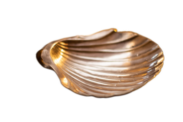 Silver shell for holy water in Christian religious baptism