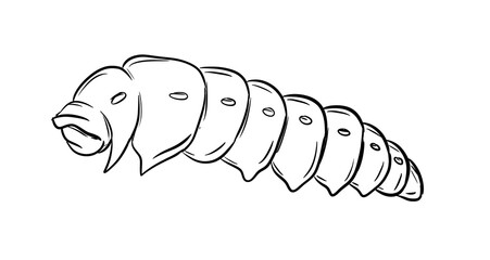 caterpillar digital drawing illustration isolated