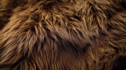 Fototapeta premium Close-up of intricate brown fur, with soft textures and natural highlights adding depth.