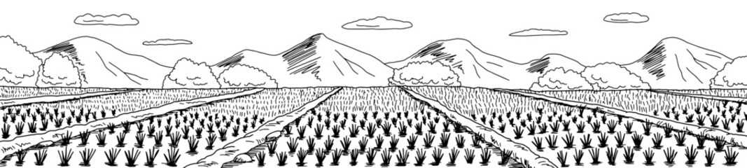 Obraz premium Rice field graphic black white landscape sketch long illustration vector 