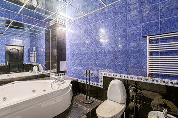 interior apartment room bathroom, sink, decorative elements, toilet. WC, sanitary unit, wash room