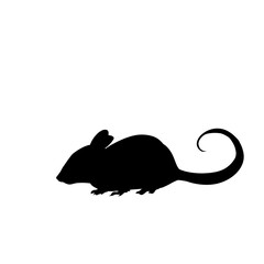 illustration of a mouse icon image without a background