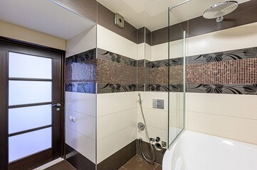 interior apartment room bathroom, sink, decorative elements, toilet. WC, sanitary unit, wash room