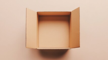 Open empty cardboard box.