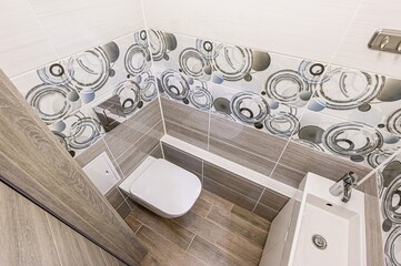 interior apartment room bathroom, sink, decorative elements, toilet. WC, sanitary unit, wash room