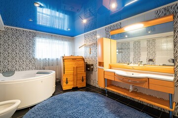 interior apartment room bathroom, sink, decorative elements, toilet. WC, sanitary unit, wash room