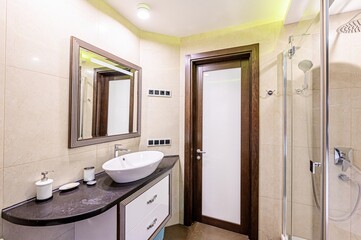 interior apartment room bathroom, sink, decorative elements, toilet. WC, sanitary unit, wash room