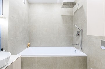 interior apartment room bathroom, sink, decorative elements, toilet. WC, sanitary unit, wash room