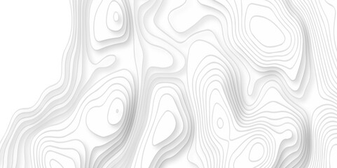 Minimal wave line mount map area space geometrics line topo landscape grid map texture. Abstract pattern waves lines seamless pattern and topography map and counter map design. 