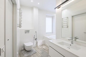 interior apartment room bathroom, sink, decorative elements, toilet. WC, sanitary unit, wash room