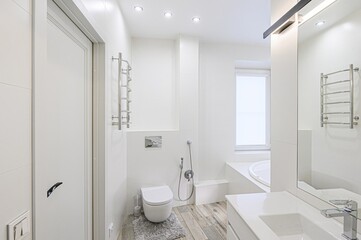 interior apartment room bathroom, sink, decorative elements, toilet. WC, sanitary unit, wash room