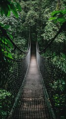 Jungle Bridge: A Path Through Lush Greenery
