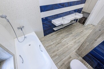 interior apartment room bathroom, sink, decorative elements, toilet. WC, sanitary unit, wash room