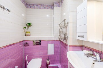 interior apartment room bathroom, sink, decorative elements, toilet. WC, sanitary unit, wash room