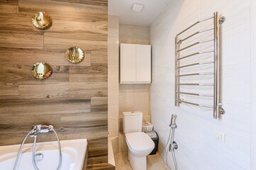 interior apartment room bathroom, sink, decorative elements, toilet. WC, sanitary unit, wash room