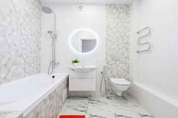interior apartment room bathroom, sink, decorative elements, toilet. WC, sanitary unit, wash room
