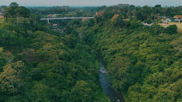 4K of beautiful river in the woods, stream in the tropical forest. Wide shot, forward dolly moving to the famous bridge. 200-meter-long glass bridge stands 40 meters above the Tukad Petanu stream. 