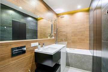 interior apartment room bathroom, sink, decorative elements, toilet. WC, sanitary unit, wash room