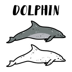 Vector cartoon illustration cute dolphins isolated on white background for icon, logo, badge, cards, poster, banner, website