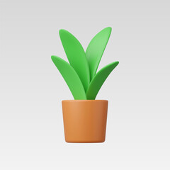 3d Realistic House plant vector illustration