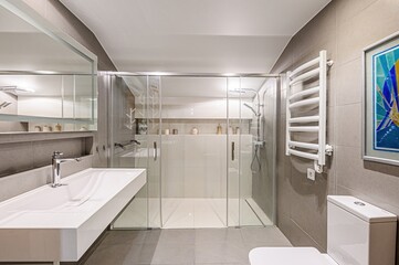 interior apartment room bathroom, sink, decorative elements, toilet. WC, sanitary unit, wash room