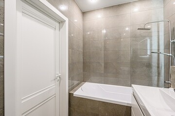 interior apartment room bathroom, sink, decorative elements, toilet. WC, sanitary unit, wash room