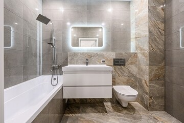 interior apartment room bathroom, sink, decorative elements, toilet. WC, sanitary unit, wash room