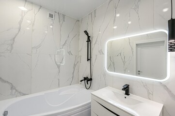 interior apartment room bathroom, sink, decorative elements, toilet. WC, sanitary unit, wash room