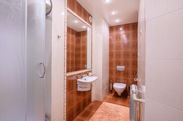 interior apartment room bathroom, sink, decorative elements, toilet. WC, sanitary unit, wash room