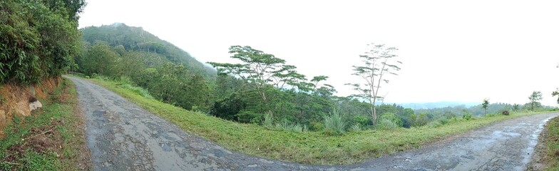 Landscapes view from Top of a mountain of Sri Lanka. Breathtaking Beauty Capturing the Serene Essence of Nature in Stunning Landscapes. A Journey Through Picturesque Nature Landscapes.