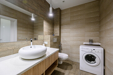 interior apartment room bathroom, sink, decorative elements, toilet. WC, sanitary unit, wash room