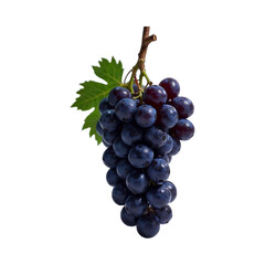 Fototapeta premium Fresh Purple Grapes Bunch with Green Leaves