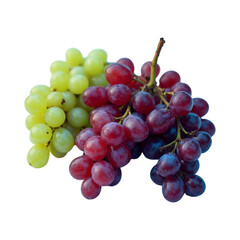 Fototapeta premium Fresh Green and Red Grapes Bunch