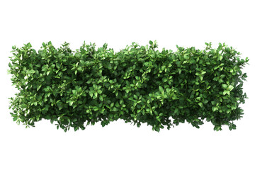 Top view of a hedge row isolated or on white background 3d render png. Architecture plan